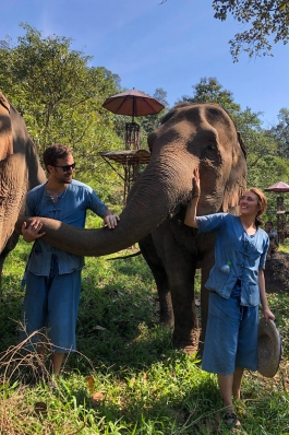 Taryn Parker walks with elephants Chiang Mai, Thailand